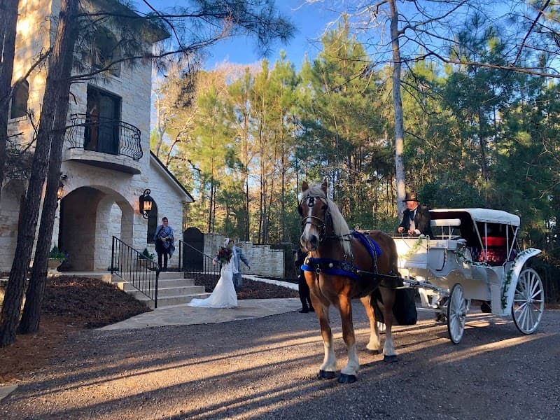 Horse Drawn Carriages & Hearse of Texas cover