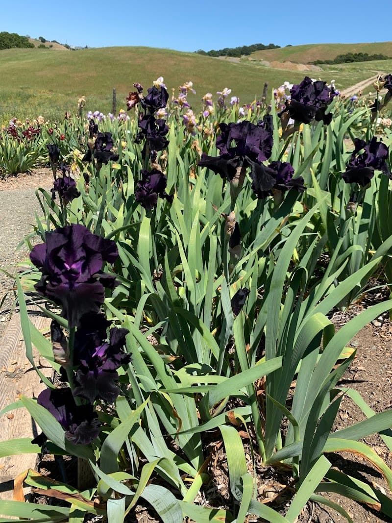 Prevost Ranch and Gardens cover