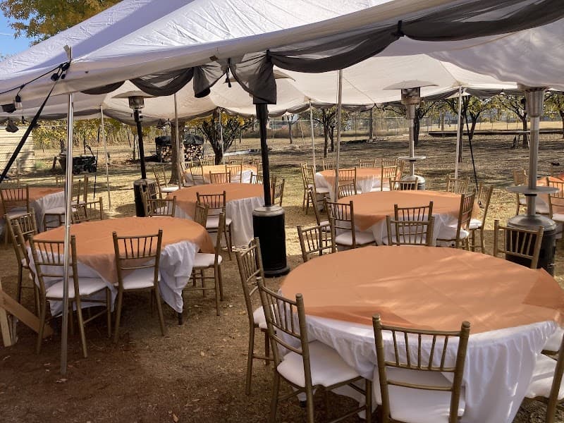 Verynice Pro Event Decors Tiffany Chair & Table Rentals cover