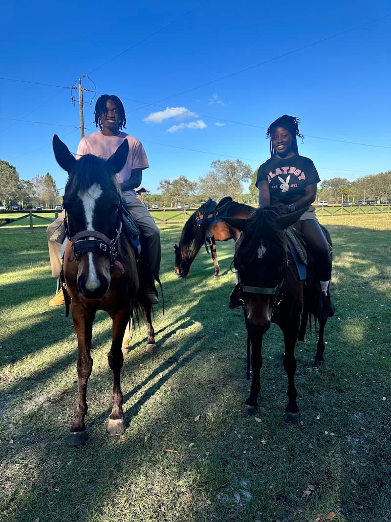 A&A Adventure Horse Trail Rides cover